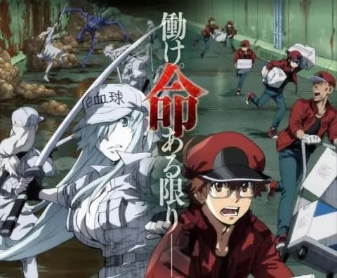 انمي Hataraku Saibou Black الحلقة 1